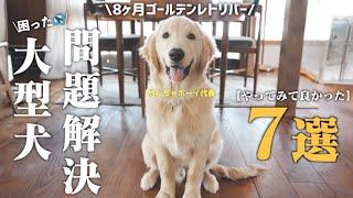 まるで怪獣だった仔犬が【驚くほど穏やかに】変身した魔法のトレーニング７選！子どもと犬と猫とニワトリとの暮らし。