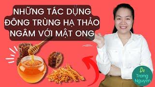 Đông trùng hạ thảo ngâm mật ong có tác dụng chữa bệnh gì?