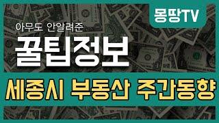 아무도 안알려준 꿀팁정보,  세종시 부동산 관련 주간동향(9.28~10.3)