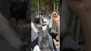 터미널 춤 막차 탑승하는 탱이 ㅋㅋㅋ