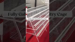 Best Battery Cage for Poultry Farming