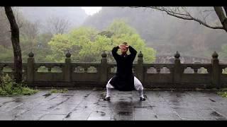 Authentic Wudang Tai Chi 28