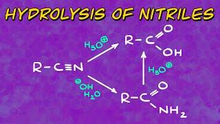 Hydrolysis of Nitriles Explained! (Basic and Acidic Conditions)