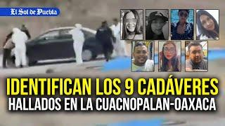 Identifican los nueve cadáveres hallados en la Cuacnopalan-Oaxaca, esto sabemos del caso