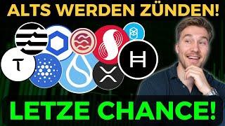 LETZE CHANCE, denn Altcoins werden 2025 alles OUTPERFORMEN!