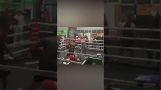 Blenheim Gym turns battleground: Viral video exposes bare- knuckle fights #gridsparta #mongrelmob
