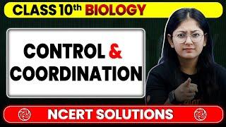 Control & Coordination - NCERT Solutions | Class 10 Biology Chapter 6 | Board Exam 2025