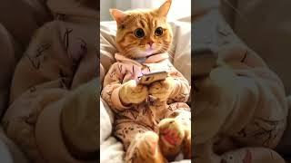 Cat watching reels in iPhone | ai shorts | ai animation | funny cat | #shortvideo #viralshorts