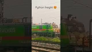Indian railway 1.5km long freight train #railfans #shorts #subscribe #indianrailways #sheshnag