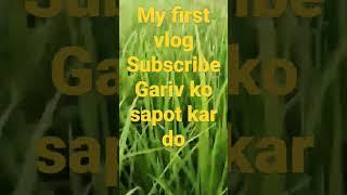 my first vlog //my first vlog ko viral kar do /my first vlog viral kese kare/subscribe plz।।