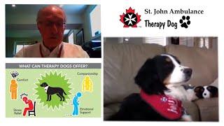 Introduction to St. John Ambulance Therapy Dog Program | St. John Ambulance York Region