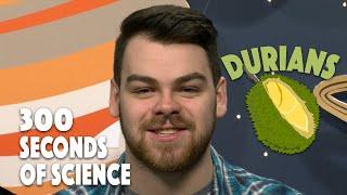 What is That Smell? | 30 Seconds of Science