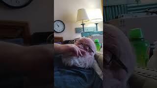 Old PopPop live