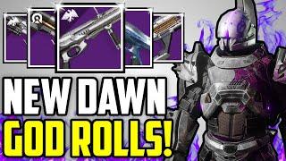 Destiny 2: Are The Reprised DAWN Weapons Worth Farming? (PVE Weapon Guide)