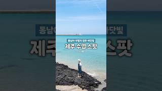  아름다운 바닷빛 제주 수영 스팟 추천 Best 10!