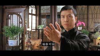 Ip Man 【叶问系列混剪】盘点叶问中那些一VS多的精彩场景