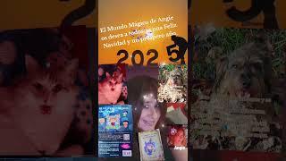Escucha la canción entera aquí en Youtube: El Mundo Mágico de Angie la   canción :"Tira otra vez"