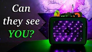 Do Spirits Visit Us From Heaven? You’re Not Forgotten... (Spirit Box)