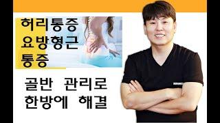 허리통증(담) / 요방형근통증 한방에 해결 골반마사지