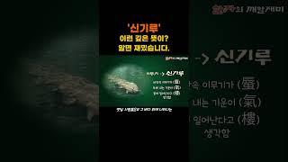 50. '신기루' 속에 이런 의미가? #어휘력 #한자상식