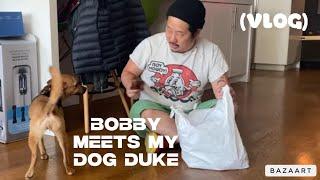 Bobby meets my dog Duke (VLOG)