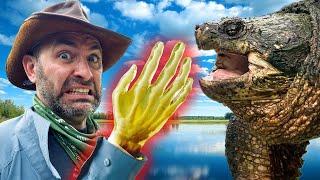 Snapping Turtle vs. Hand: Will it Break?!