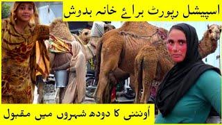 Benefits of Camel Milk l Pakistan Street Food #camelmilk