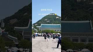 #청와대 #청와대관람 #청와대개방 #경복궁역 #경복궁역4번출구 #서울나들이 #얼른다녀오세요