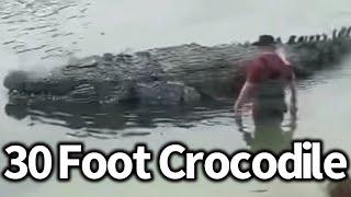 The 30 Foot Crocodiles in the Congo, Mahamba