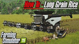 FS25 Tutorial - Long Grain Rice | Farming Simulator 25