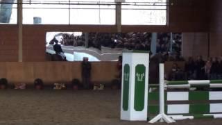 Borsalino - Hengstschau Wickrath 2015