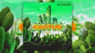 [FREE] Gunna Loop Kit Guitar/Gunna Sample Pack Guitar 2022 "CACTUS" (Gunna,Young Thug,Taurus,Wheezy)