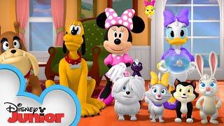 The Happy Helpers Pet Sit | Mickey Mornings | Mickey Mouse Mixed-Up Adventures | @disneyjr