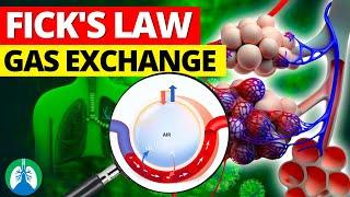 Fick’s First Law of Diffusion and Lung Gas Exchange *EXPLAINED*