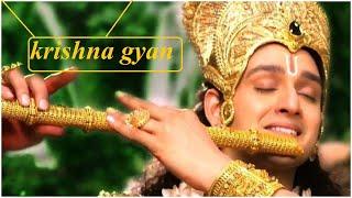 Powerful krishna gyan | how to become successful | krishna success mantra | krishna gyan