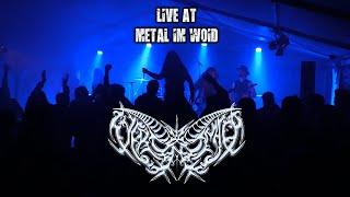 Sycronomica - Live at Metal im Woid 2017 - FULL SHOW