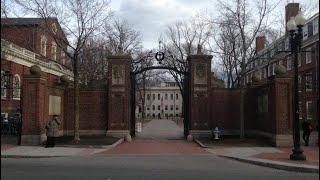 Visa revocations spark calls for action from Harvard, Cambridge leaders
