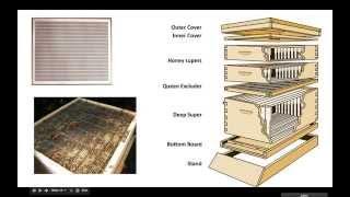 Basic Beekeeping 101 - Short Review