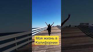 История моей жизни#shortsvideo #shorts #сшавлог #шортс #шорты