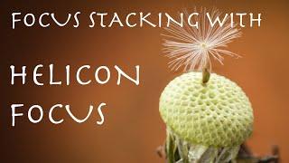 Focus Stacking and Blending with Helicon Focus