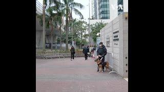 香港法院驳回黎智英撤销指控的请求