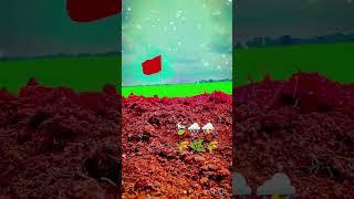 Mosam hin video #royal rdx2