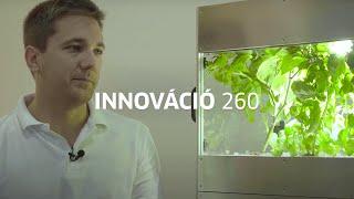 Growberry | Innovation 260 | Brain Bar x BMW i