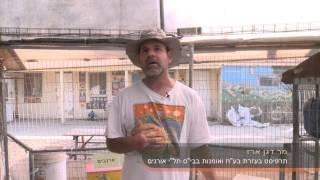 בית הספר תל"י אורנים-יוקנעם