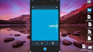 Delivery Service Management - Salesforce Lab App Demo 09-2017