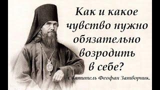 Как и какое чувство нужно обязательно возродить в себе? Святитель Феофан Затворник.