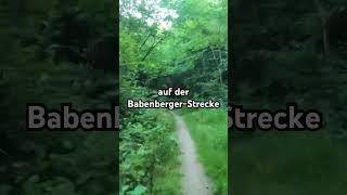 Freiheit am Rad  BABENBERGER-STRECKE  Wienerwald