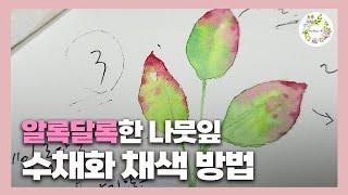 여러가지 색상이 들어 있는 나뭇잎!! 무슨색 부터 채색 해야 할까!? watercolor painting 물고기아트 수채화