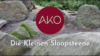 Die Digitale Konservierung der Kleinen Sloopsteene