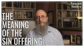 Parashat Vayikra 5785 | Missing the Mark: The Psychology of Sin